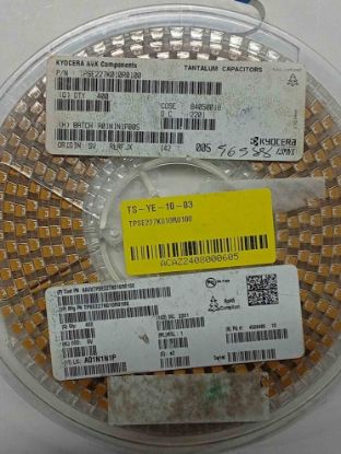 TPSE227K010R0100 resmi