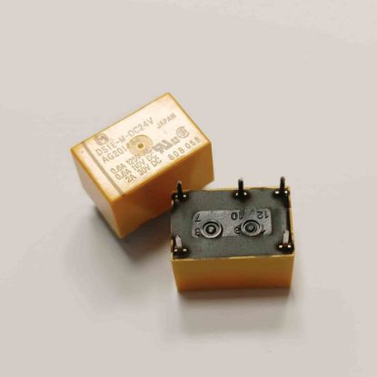 DS1E-M-DC24V resmi
