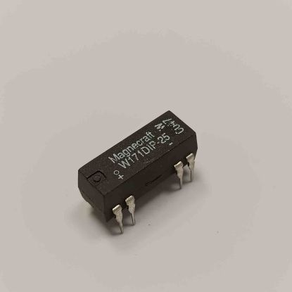 W171DIP-25 5V 0,5A DPST-NO MAGNECRAFT Reed RÖLE resmi