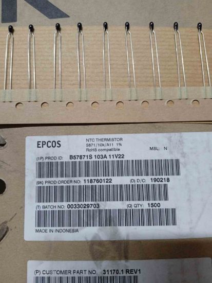 B57871S103A11V22 TERMISTOR KONDANSATÖR resmi
