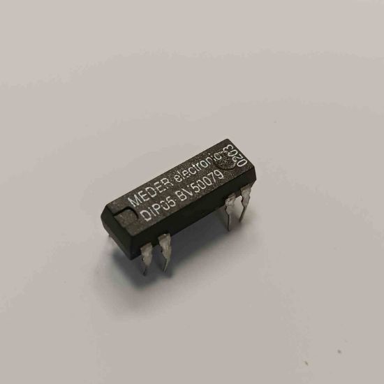 DIP05-BV50079 5V Reed RÖLE resmi