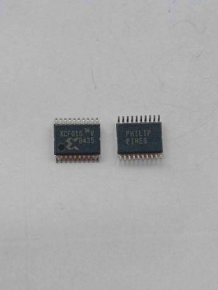 XCF01SV020C resmi