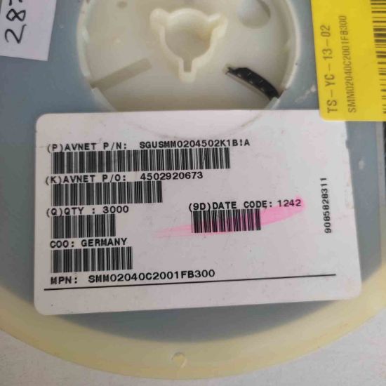 SMM02040C2001FB300 resmi