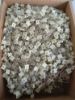 RM2DC3100JX50M 2.2NF 63V 5 0.2 KEMET POLYESTER KONDANSATÖR resmi