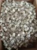 RM2DC3100JX50M 2.2NF 63V 5 0.2 KEMET POLYESTER KONDANSATÖR resmi