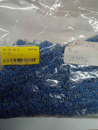 B1-100 resmi