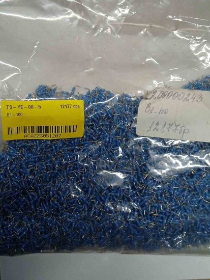 B1-100 resmi