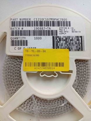 C1210C107M9 resmi